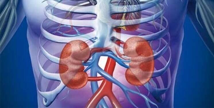 ببینید | چگونه از کلیهها در ماه رمضان محافظت کنیم؟