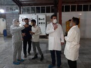 بازدید  سرزده مدیرکل دامپزشکی کهگیلویه وبویراحمد از کشتارگاه های صنعتی طیور شهر یاسوج