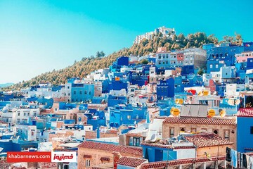 داستان یک خوردنی خیلی چندش آور!