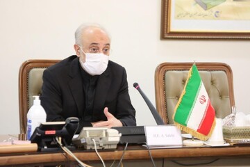 مدیر کل آژانس بین‌المللی انرژی اتمی با صالحی دیدار کرد