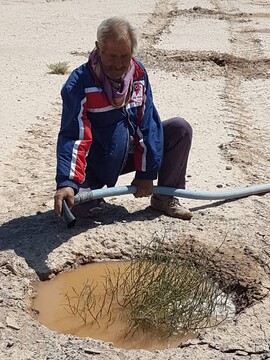 کاشت تاغ به مساحت  ۱۲۵ هکتار در اطراف روستای کلاته فرهنگ میامی