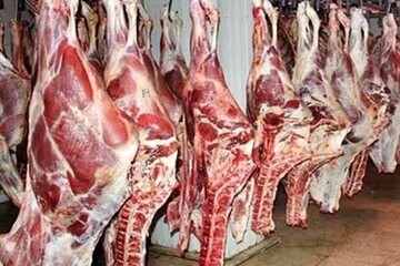 اعلام متوسط قیمت دام زنده/قیمت‌های جدید گوشت در بازار

