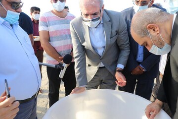بازدید دبیر شورای عالی مناطق آزاد از مزرعه ۲۰۰ هکتاری پرورش میگو در نقاشه قشم 