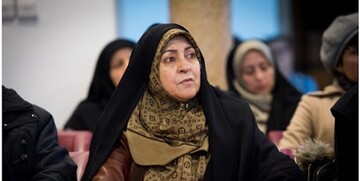 انتقال برخی «اختیارات ولایت به مادر » در معاونت زنان در حال بررسی است