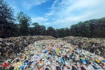 ببینید | تصاویر تامل برانگیز از طبیعت شمال کشور