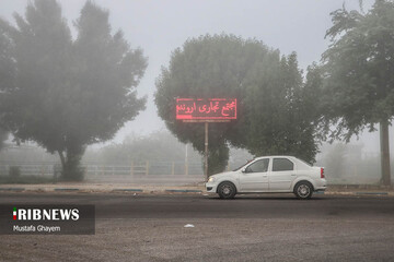 زندگی در بخار