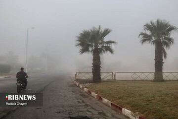 زندگی در بخار