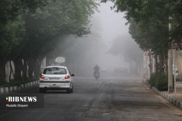 تصاویر | زندگی در بخار