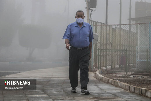 زندگی در بخار