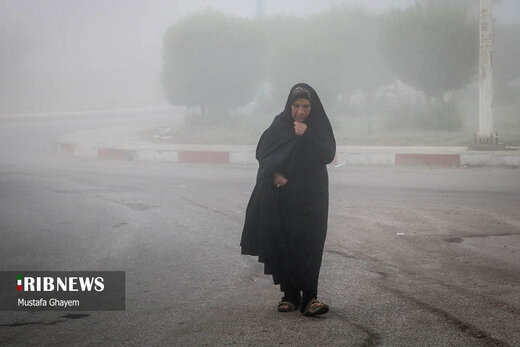 زندگی در بخار