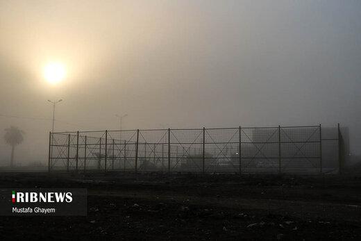 زندگی در بخار