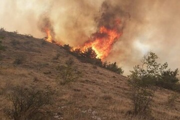 ۱۵۰۰هکتار از مراتع قزوین دچار آتش‌سوزی شدند