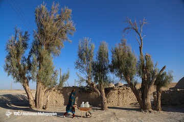 خاک سفیدی در حسرت یک جرعه آب