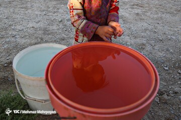 خاک سفیدی در حسرت یک جرعه آب