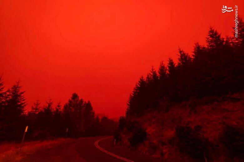 کالیفرنیا تبدیل به خاکستر شد