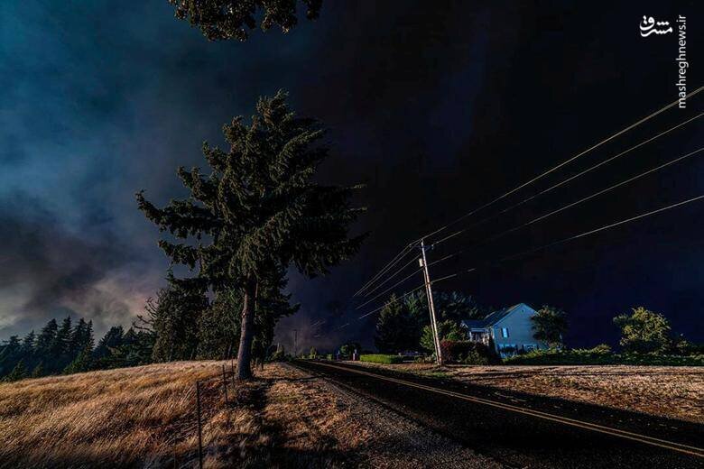 کالیفرنیا تبدیل به خاکستر شد