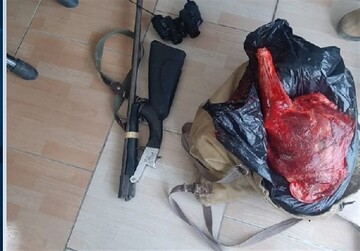 شکارچی غیرمجاز با کشف لاشه کل وحشی در شرق تهران بازداشت شد