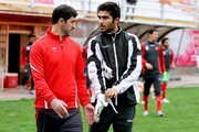بچه عقاب در آشیانه پرسپولیس/عکس