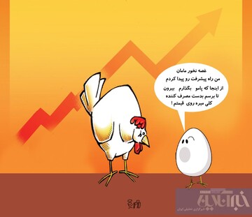 ببینید تخم مرغ هم راهشو یاد گرفت! 