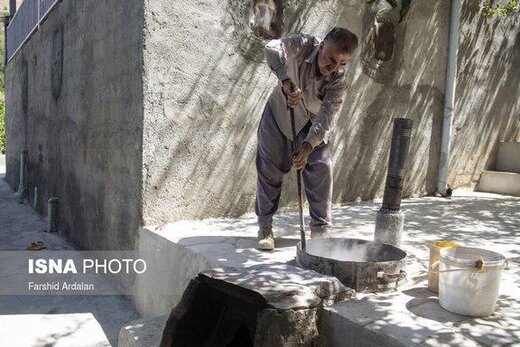 کشمش به سبک بولاو در کردستان