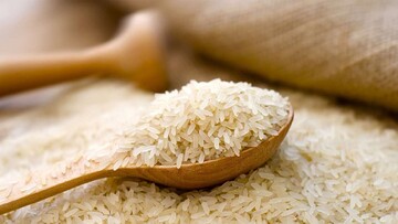 ثبات قیمت برنج در نیمه دوم سال؟