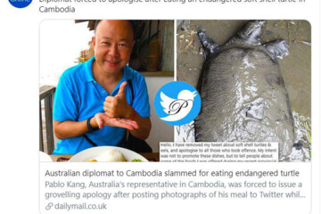ببینید | عذرخواهی سفیر استرالیا در کامبوج به دلیل خوردن لاک پشت