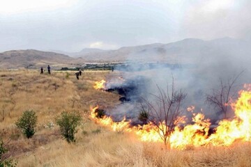 شناسایی ۱۲مورد آتش سوزی عمدی در قزوین 
