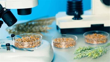  دسترسی تولیدکنندگان غذا و دارو به نتایج آنالیز الکترونیکی