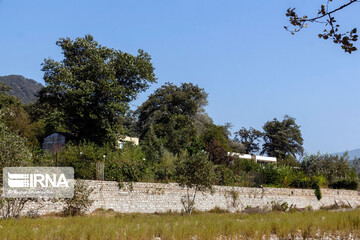 ساخت و ساز در پارک ملی گلستان