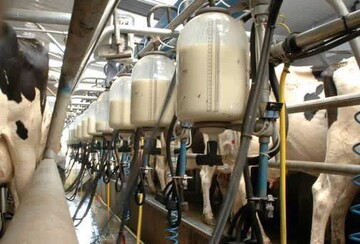 قیمت شیرخام درب دامداری ۴۵۰۰ تومان تصویب شد