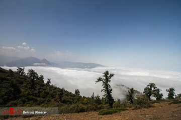 پیرطاهر