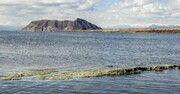 از دریاچه ارومیه چه خبر؟