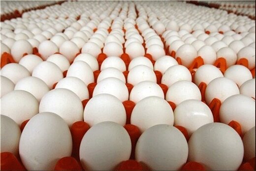 صادرات تخم مرغ، قیمت هر شانه را به ۳۰ هزار تومان رساند