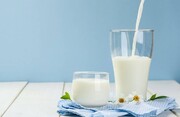 استرس کرونا  را با نوشیدن شیر کم کنید