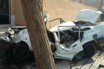 ببینید | مچاله شدن پراید پس از تصادف با درخت