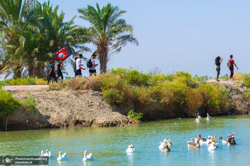 به تو از دور سلام
