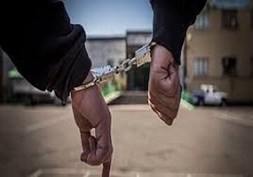 سارقان اماکن خصوصی در یزد دستگیر شدند 