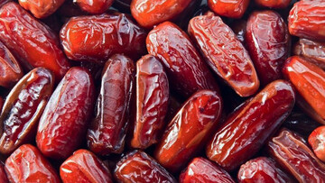 از نخلستان تا فضای مجازی