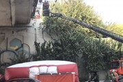 ببینید | خودکشی نافرجام در پل اتوبان مدرس تهران