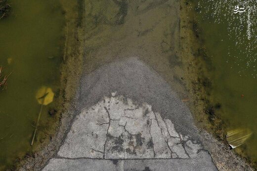 ببینید طوفان دلتا با آمریکا چه کرد