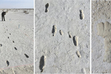 ببینید | تصاویری از رد پاهایی 12 هزارساله