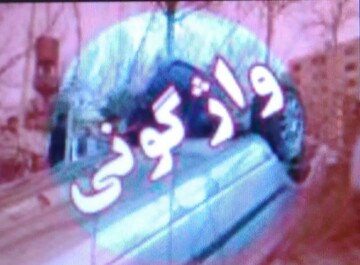 پیکان به ته دره سقوط کرد، راننده به اتهام قتل. دستگیر شد