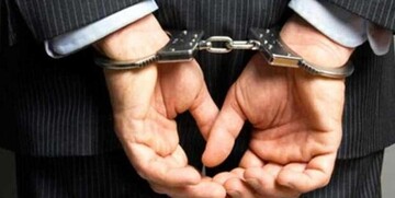 مدیرعامل اسبق بانک سرمایه تحویل مقامات قضایی شد