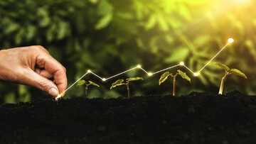 پرسودترین شهرهای ایران برای سرمایه گذاری را بشناسید