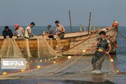 صید غیرقانونی ماهی با استفاده از TNT و دینامیت
