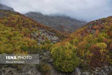 رنگ آمیزی پاییز در «پرور» سمنان