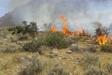 آتش‌سوزی در مراتع شهرستان مهدیشهر ۸۵ درصد کاهش یافت 
