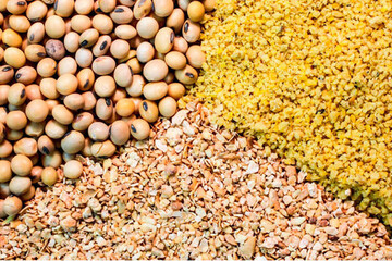 منابع ارزی محدود است/ بانک مرکزی در تلاش برای تخصیص ارز نهاده هاست