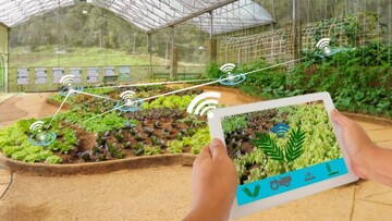 راه‌اندازی گلخانه هوشمند ۲۰۰۰۰ مترمربعی جهاد دانشگاهی در ارومیه
