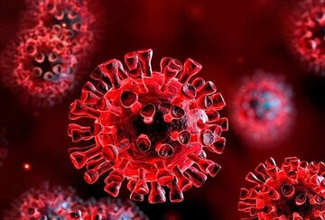 آمار وحشتناک فوت بر اثر کرونا در آذربایجان‌غربی